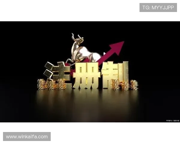 开元棋牌561账号安全保障措施与个人信息保护策略详解