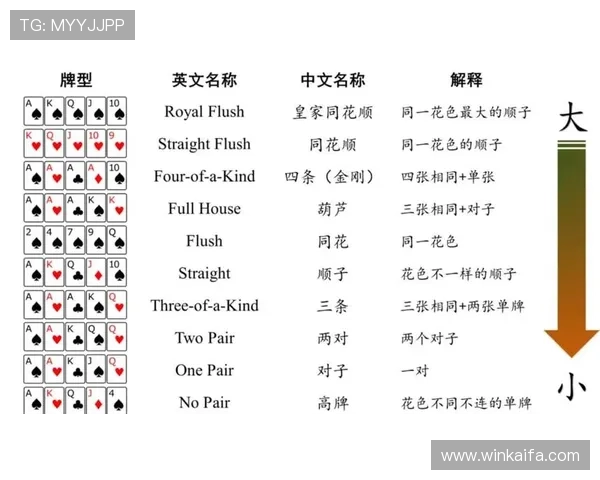 德州扑克技巧与策略全面解析助你成为牌场高手